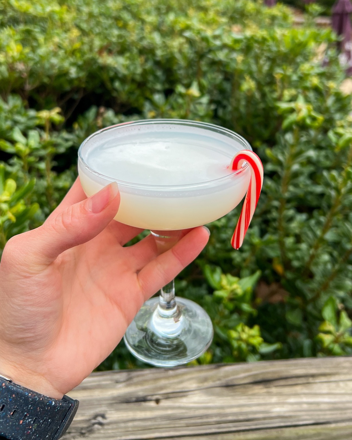 Coldwater Mountain Brewpub Anniston