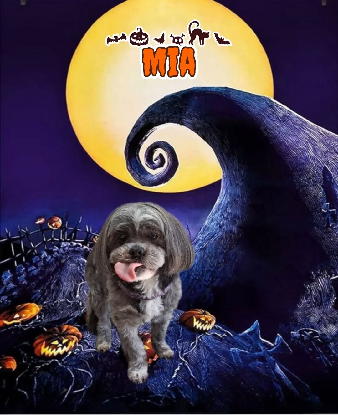 Snazzy Dog Pet Spa Anniston