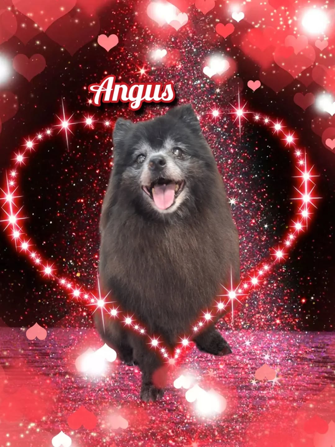 Snazzy Dog Pet Spa Anniston