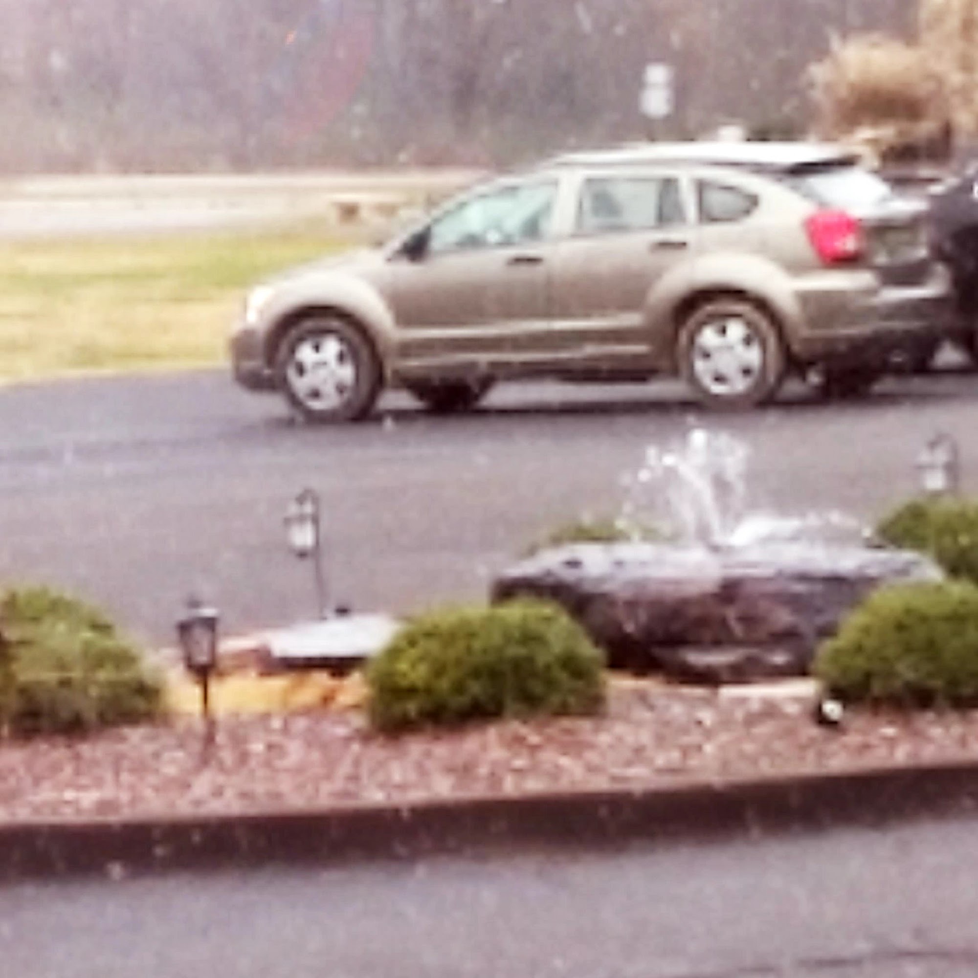 Arab Veterinary Hospital Arab