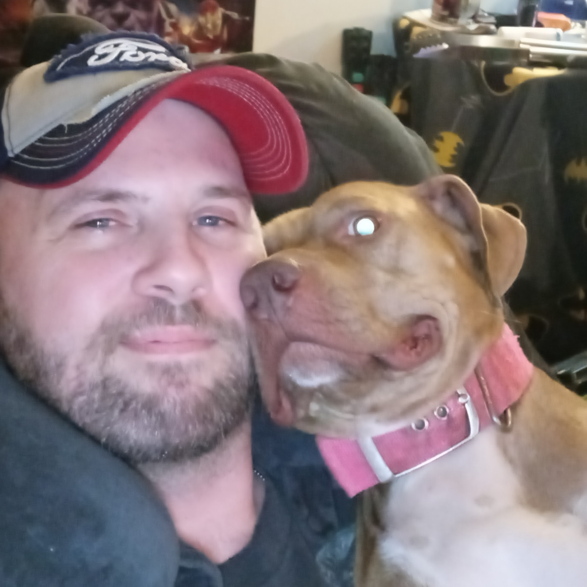 Westside Veterinary Hospital: Ellenburg Tom DVM Arab