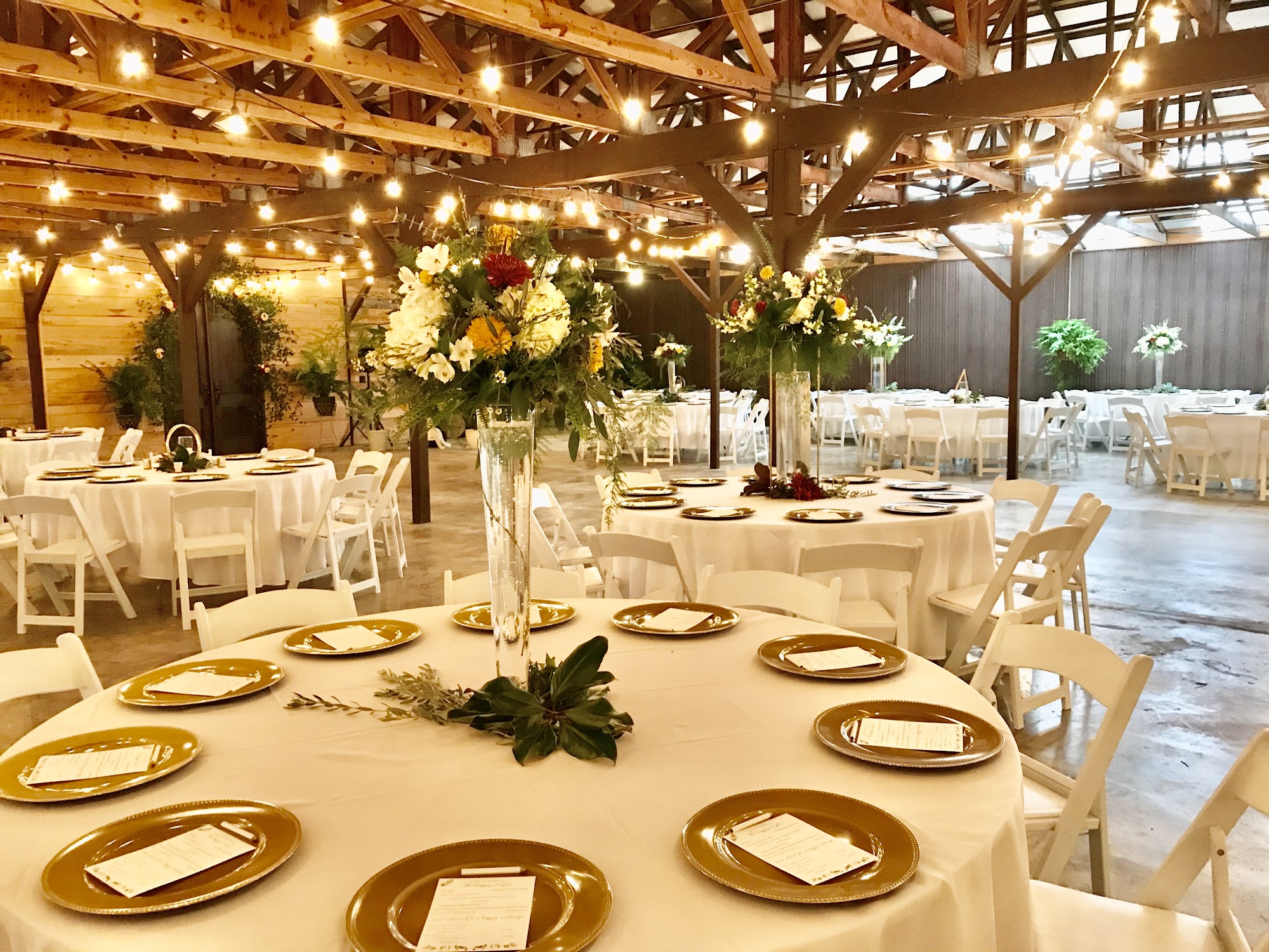 The Old Greenhouse Arab