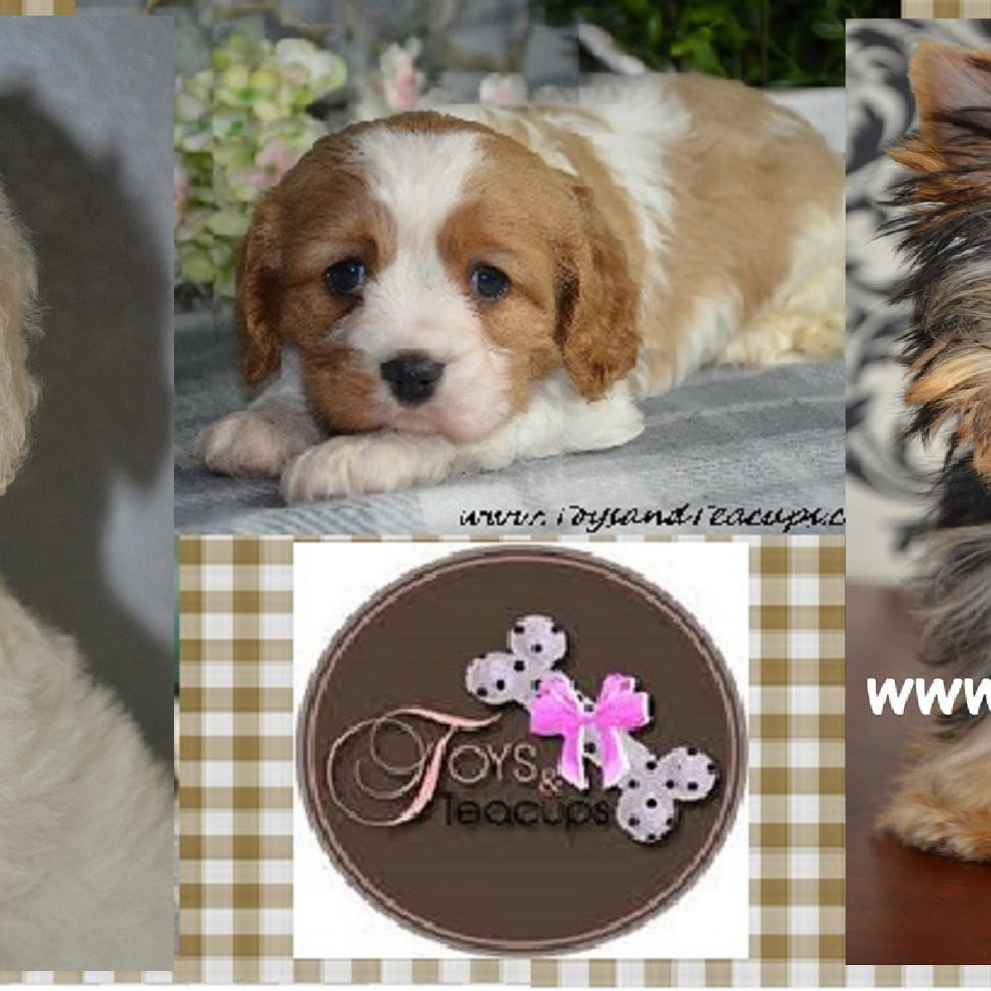 Alabama Toys & Teacups 621 N Brindlee Mountain Pkwy, Arab Alabama 35016