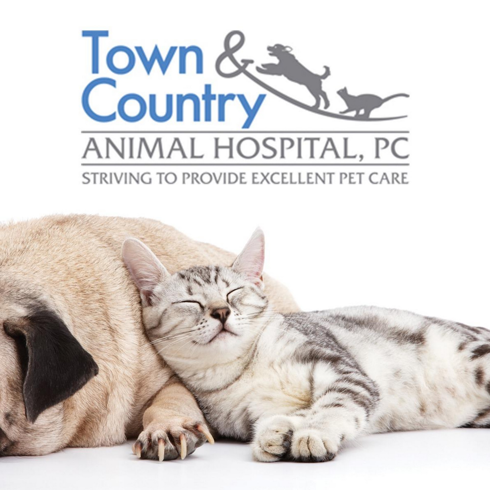 Town & Country Animal Hospital Athens