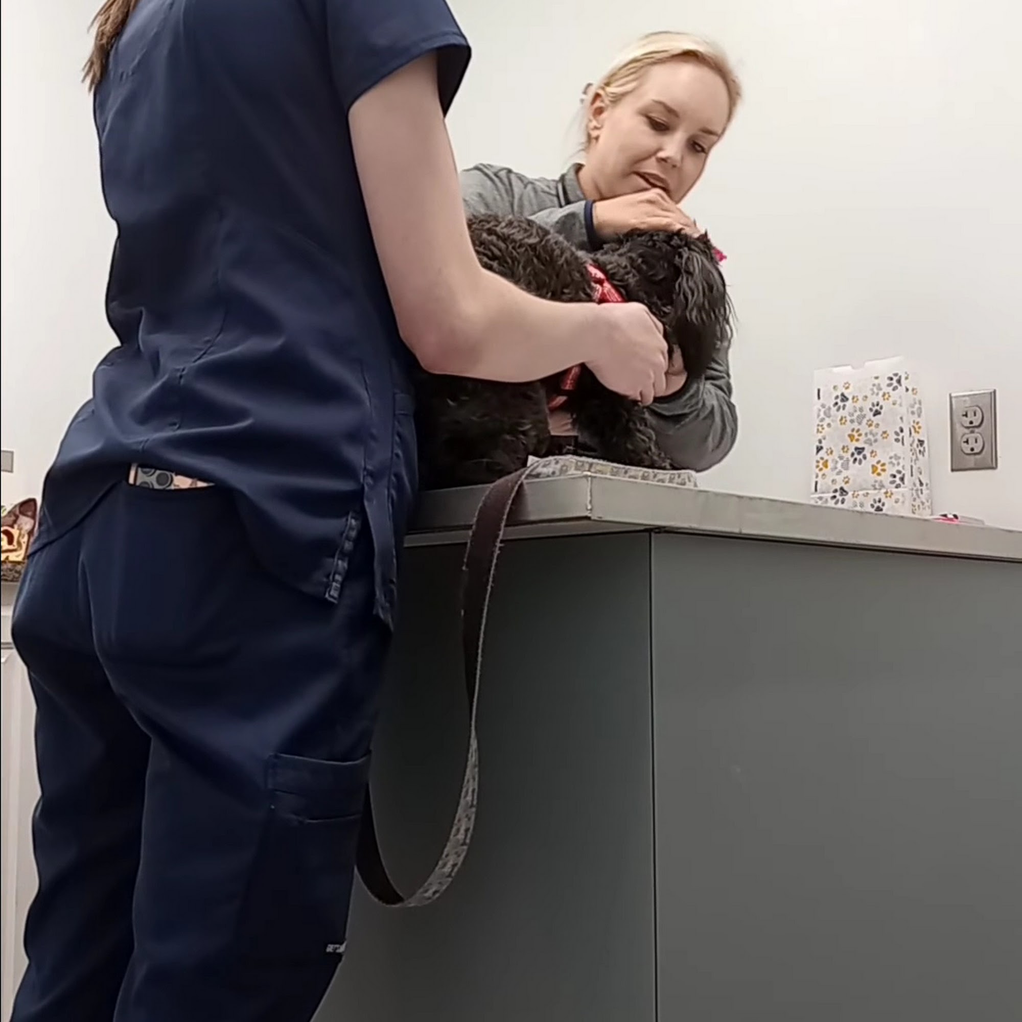 East University Veterinary Hospital Auburn