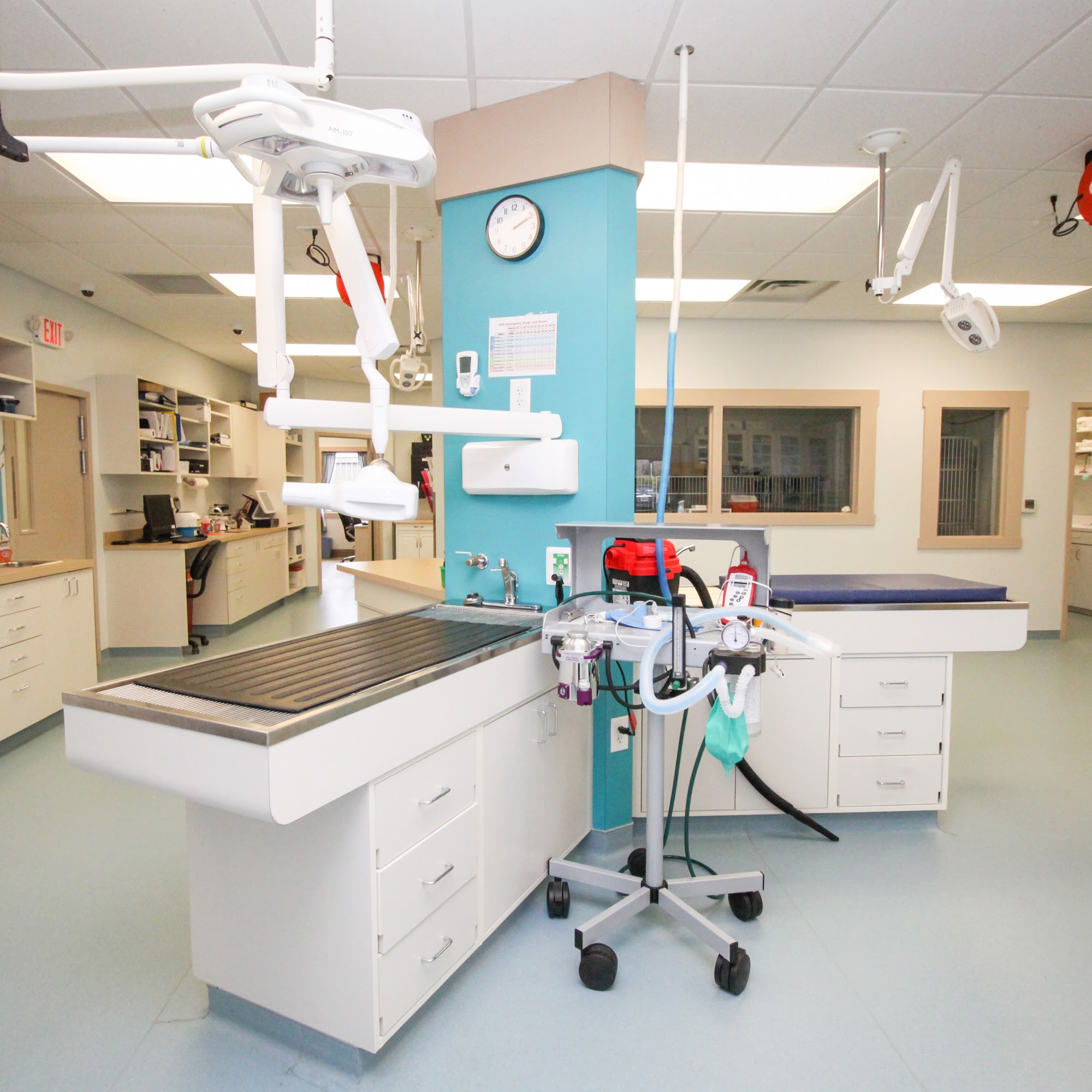 PetVet Animal Health Center Auburn