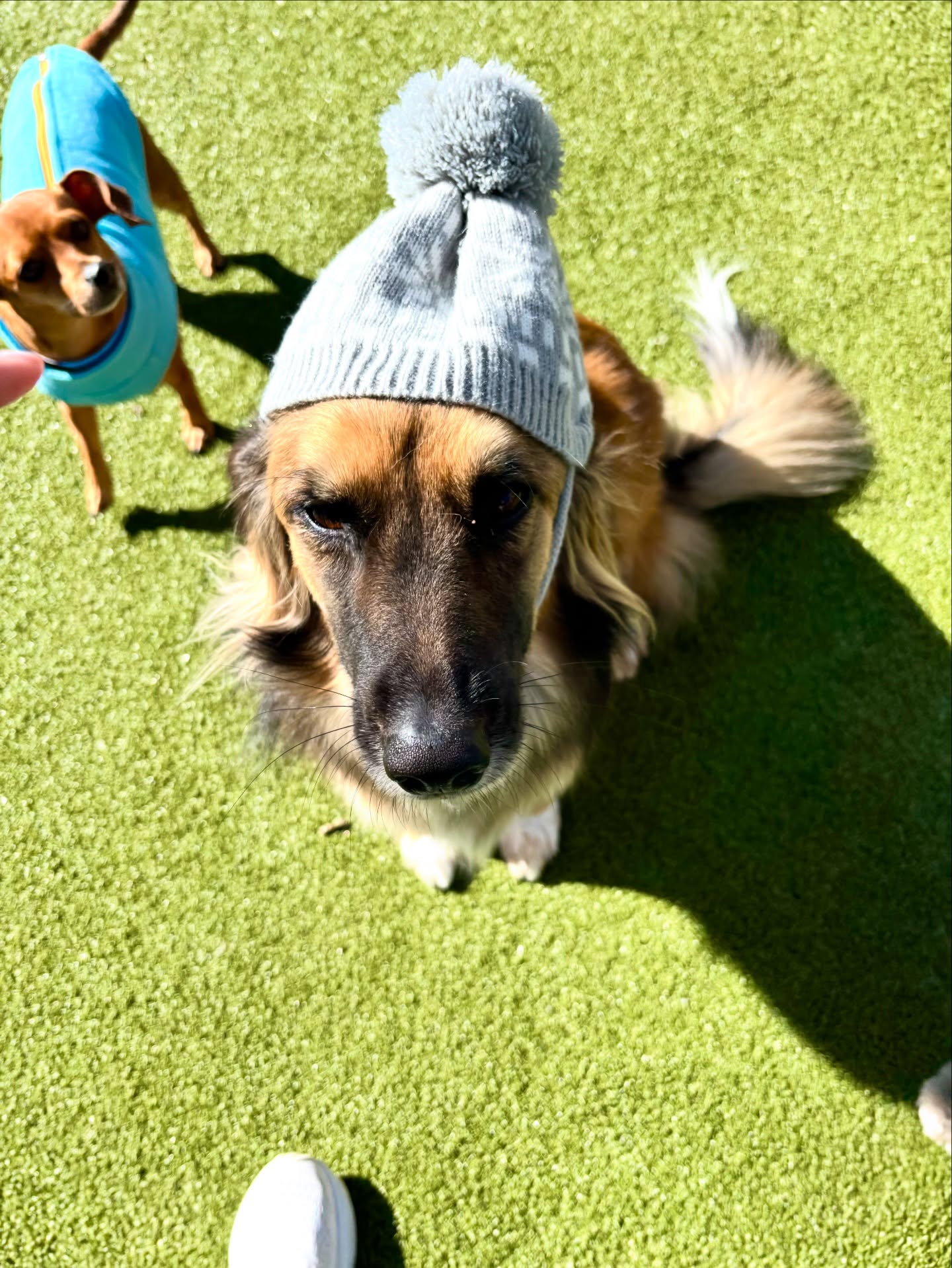 Grove Bark Inn Auburn