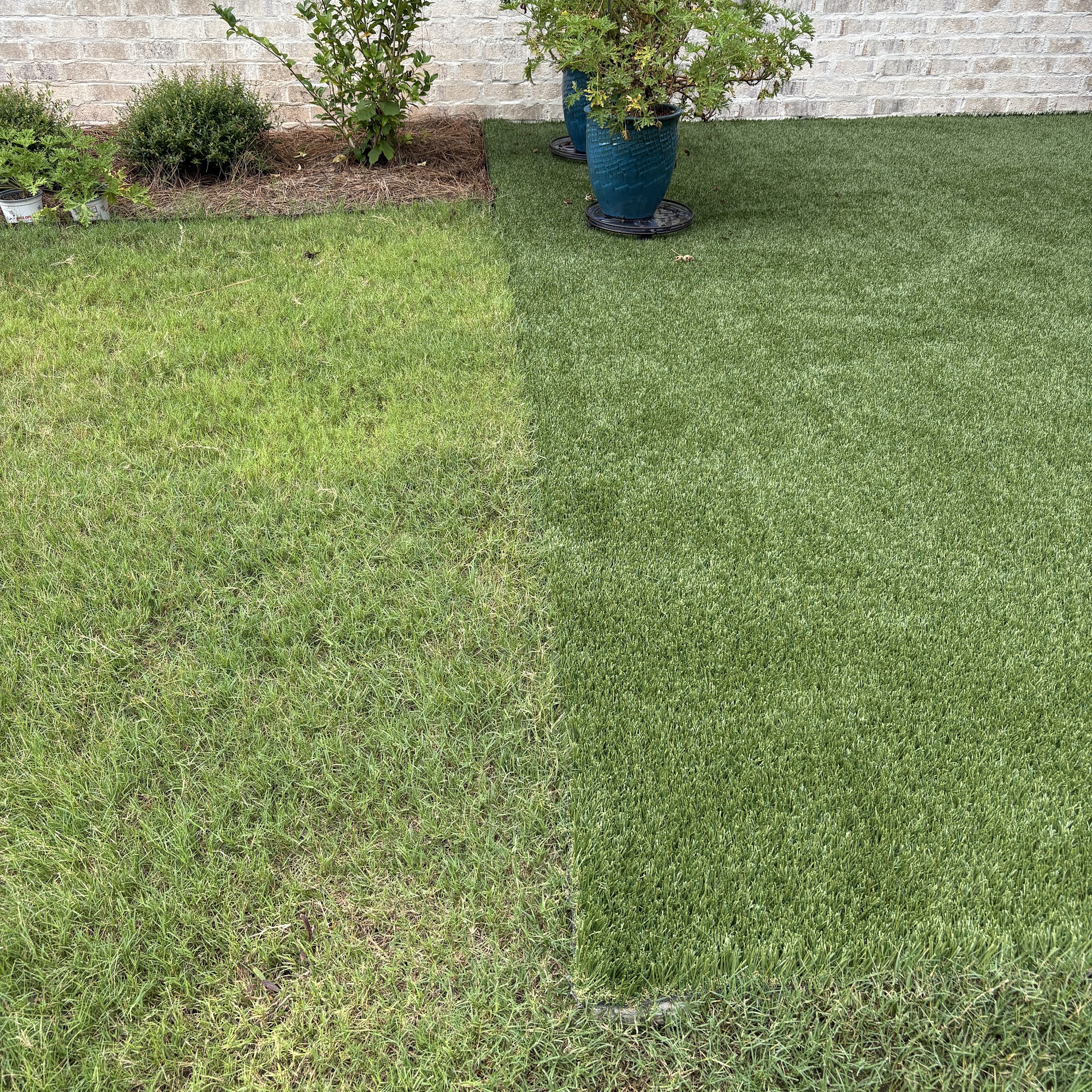 Davis Landscape Company