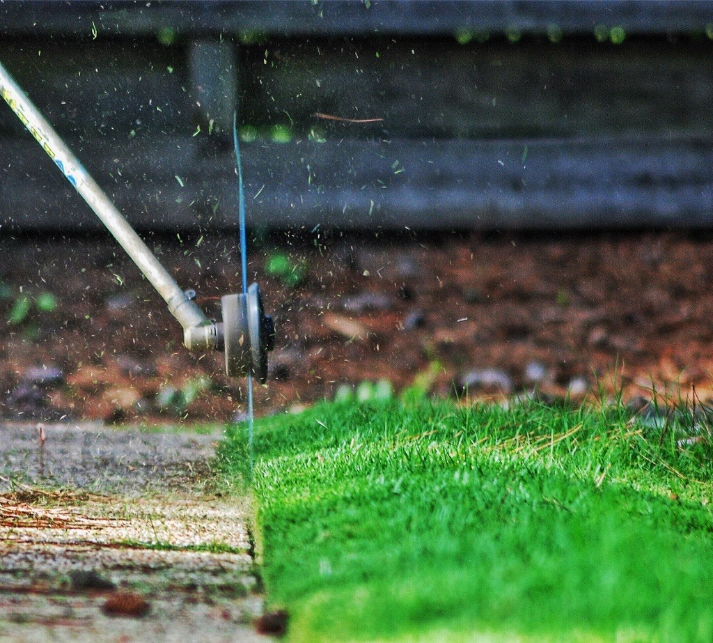 Cut Right Lawn & Landscape