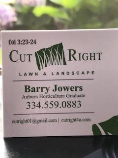 Cut Right Lawn & Landscape