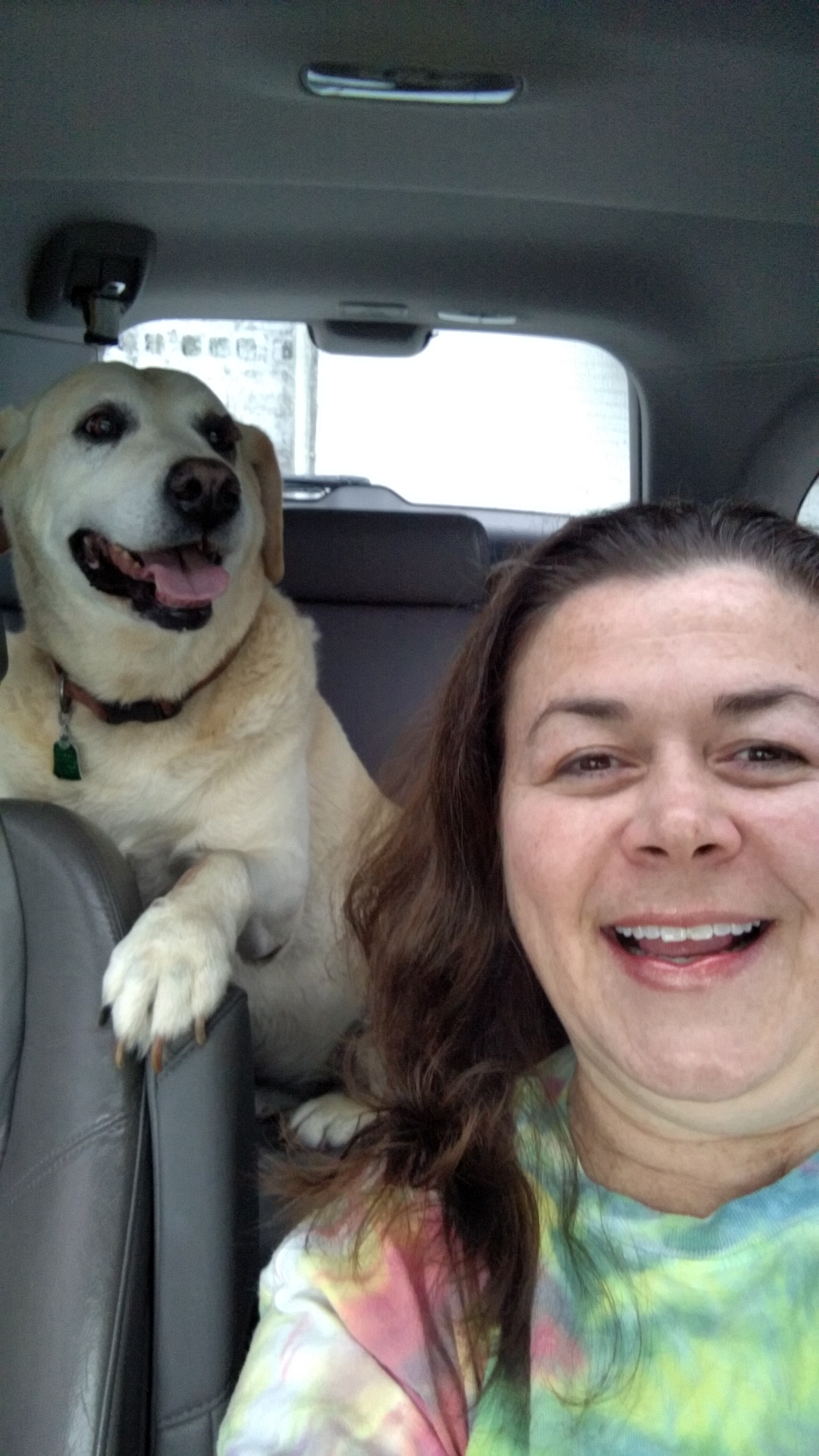 Langford David M DVM Bessemer