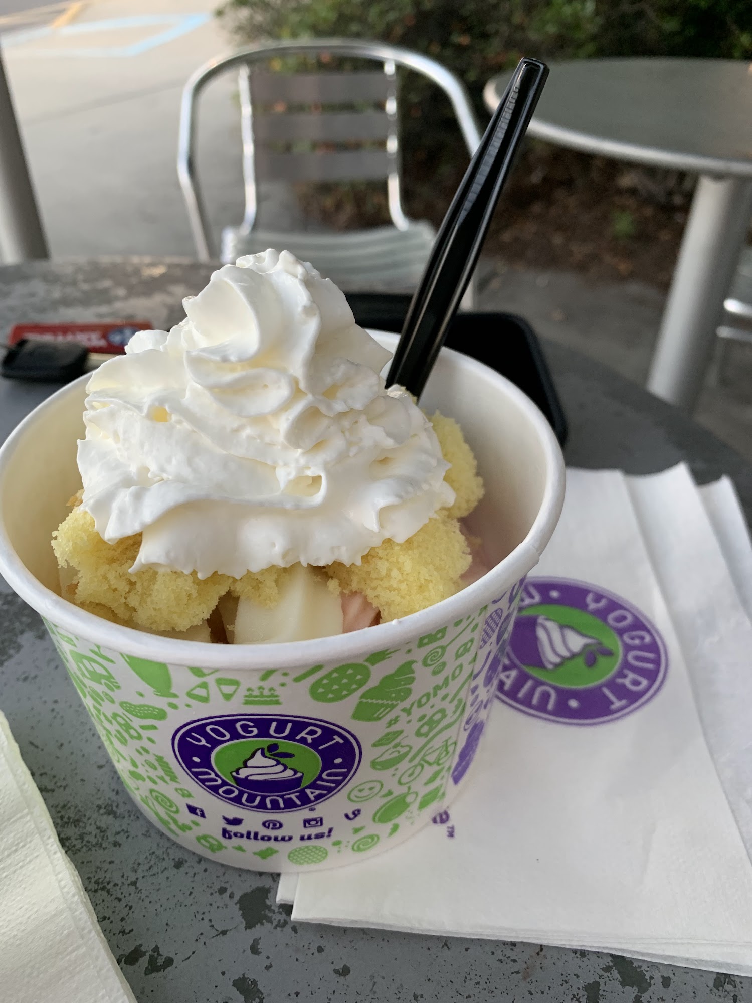 Yogurt Mountain Menu