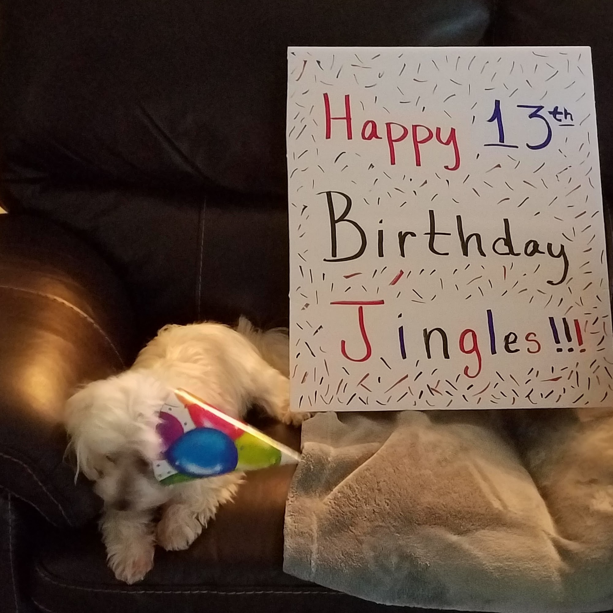 Caldwell Mill Animal Clinic Birmingham