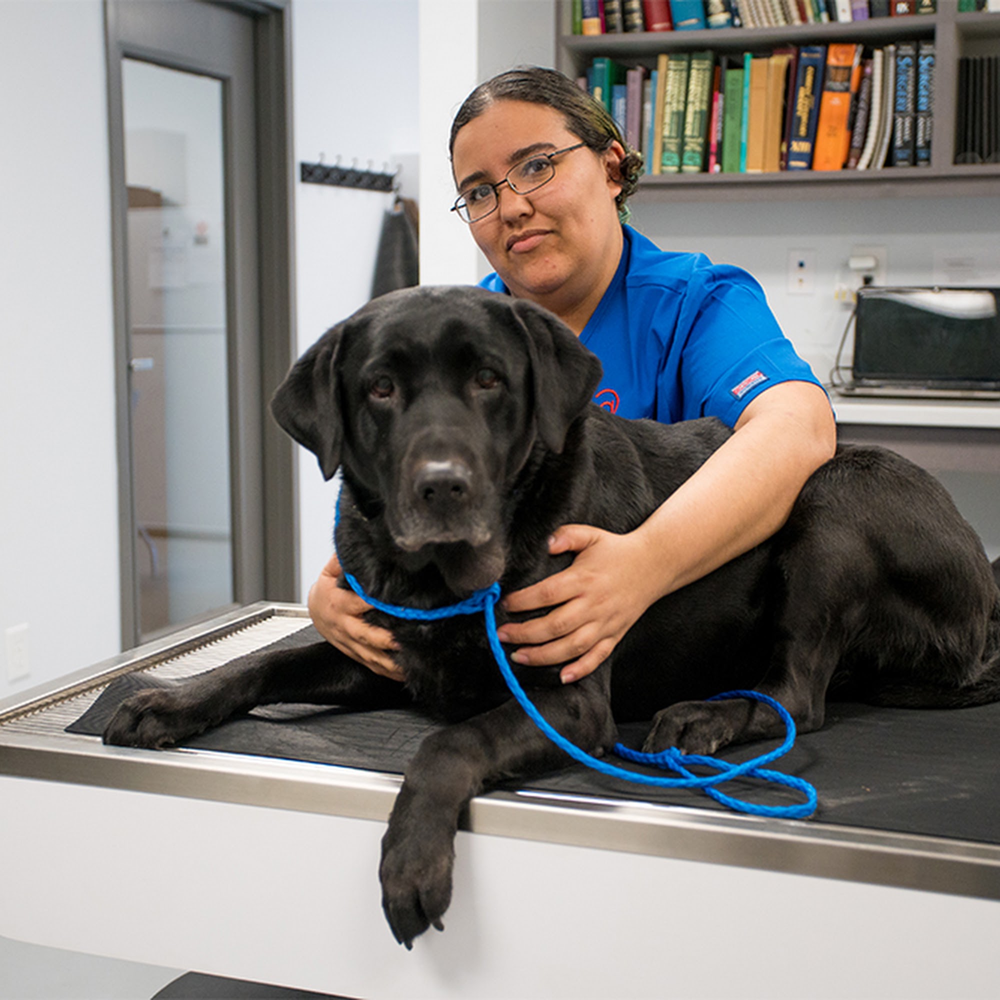 Avondale Animal Hospital Birmingham