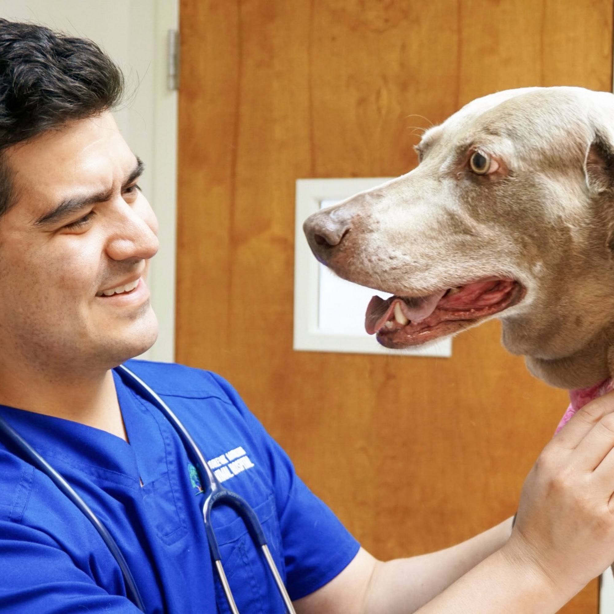 Double Oak Mountain Animal Hospital Birmingham