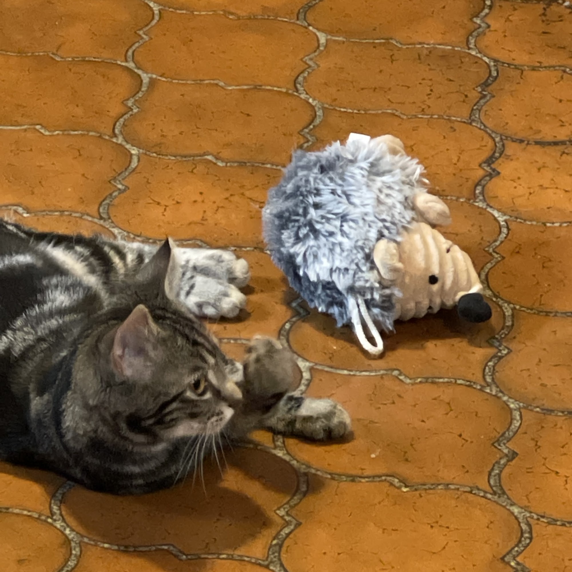 Main Street Animal Clinic: Hodges Jeremy DVM Birmingham