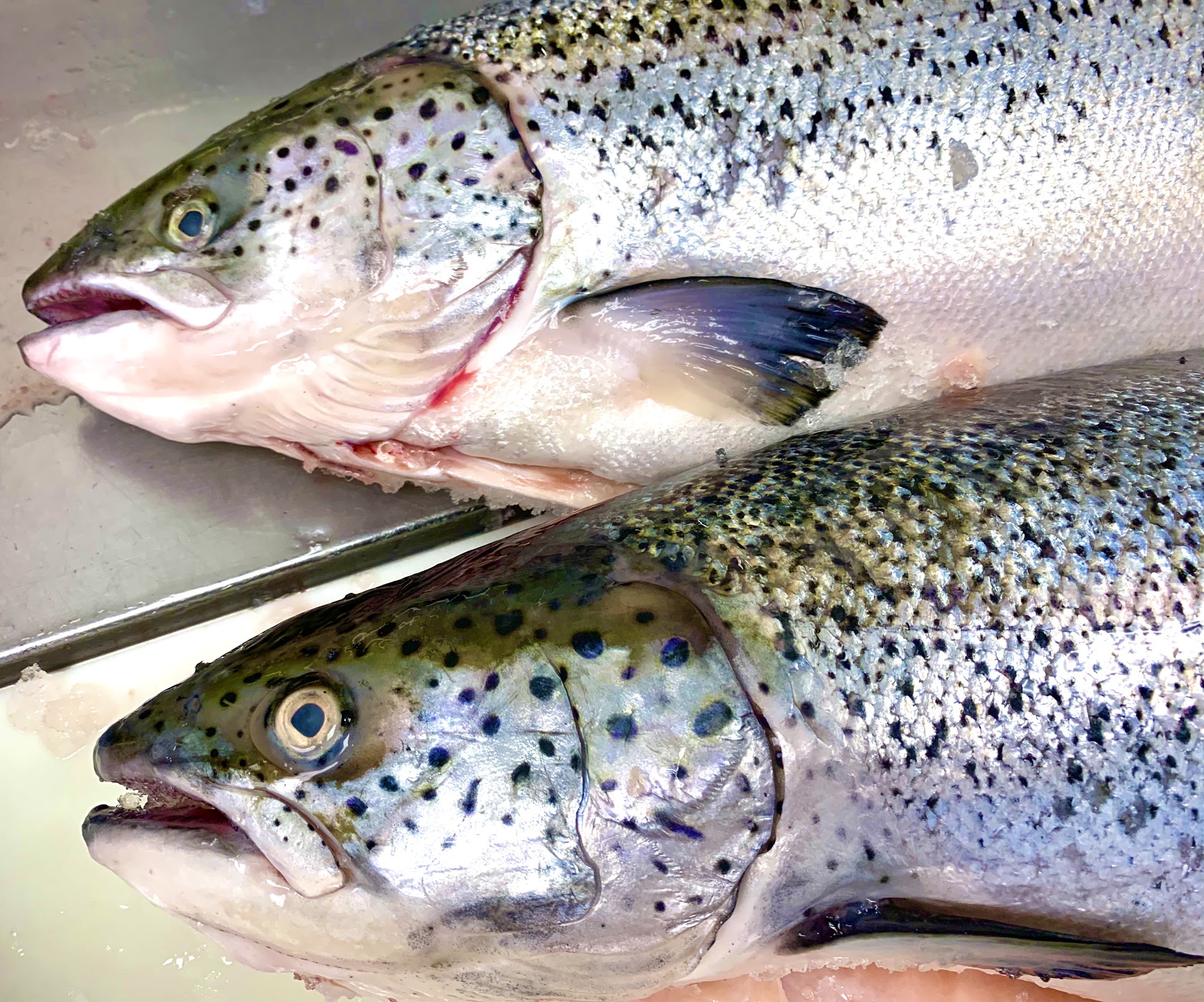 Sexton's Seafood Birmingham Menu