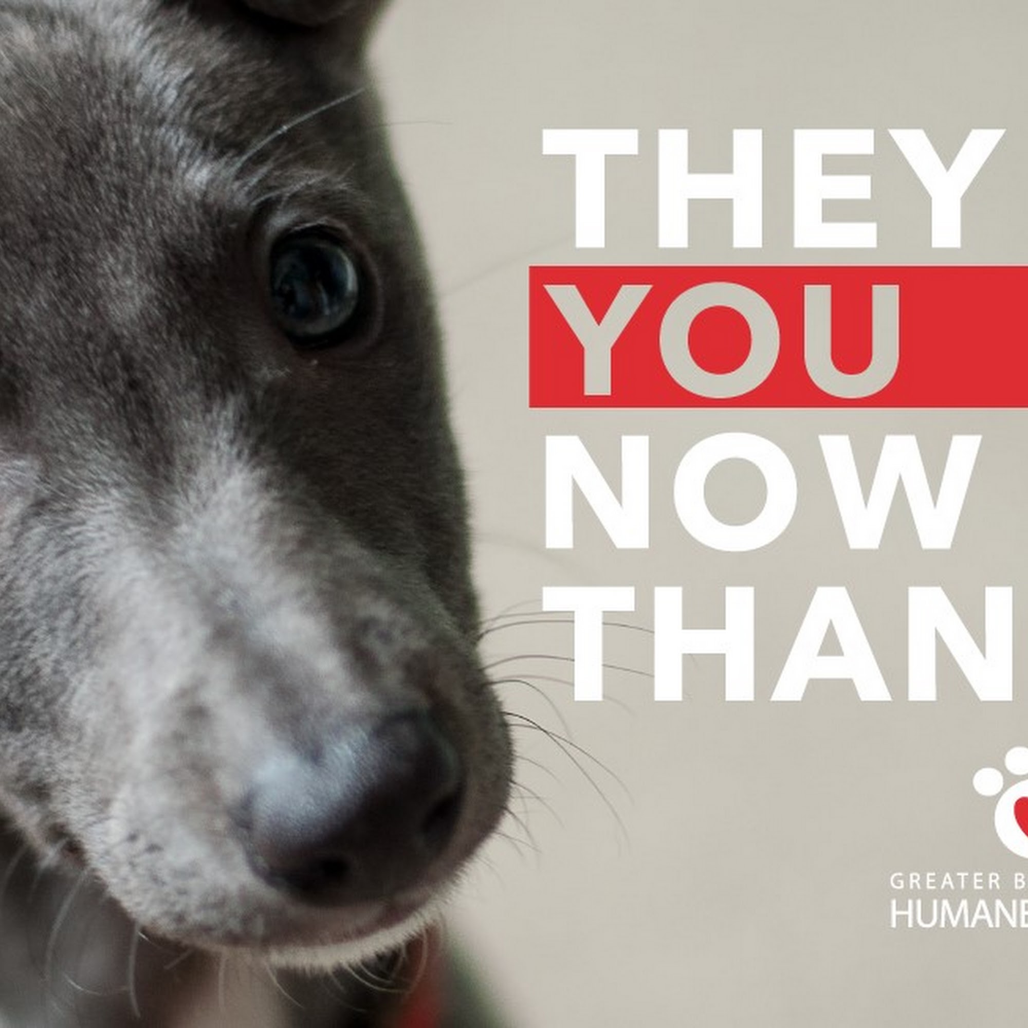 Greater Birmingham Humane Society Birmingham