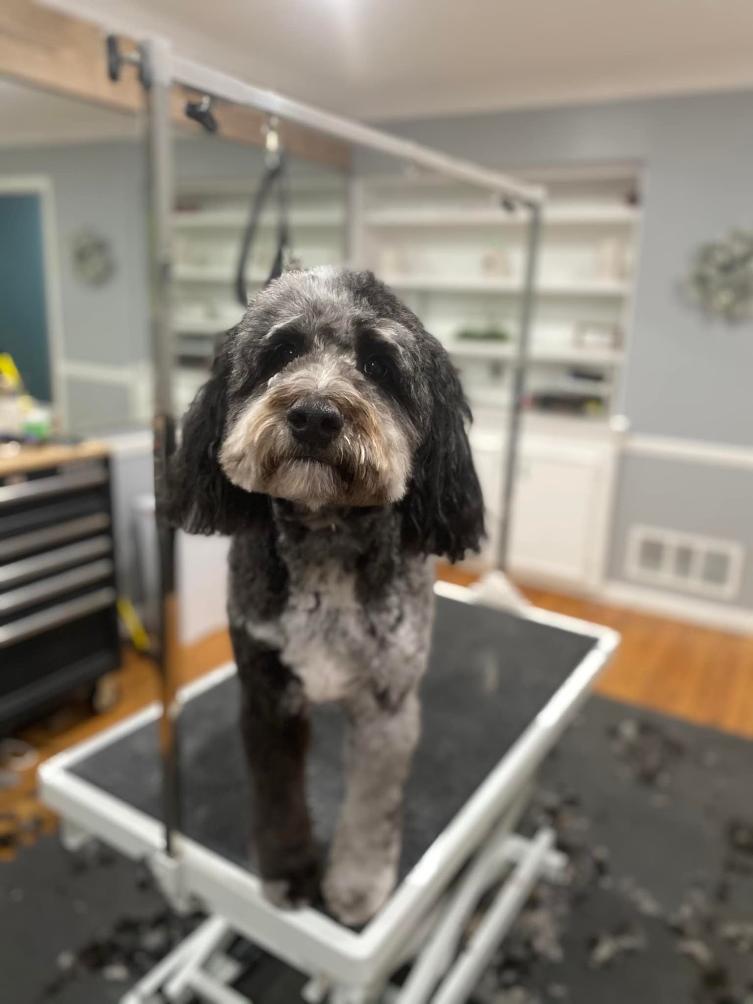 The Groomery & Co. Birmingham