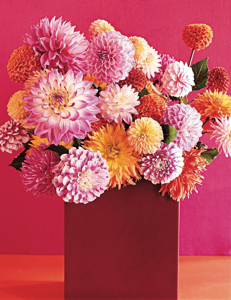 Wildflower Designs