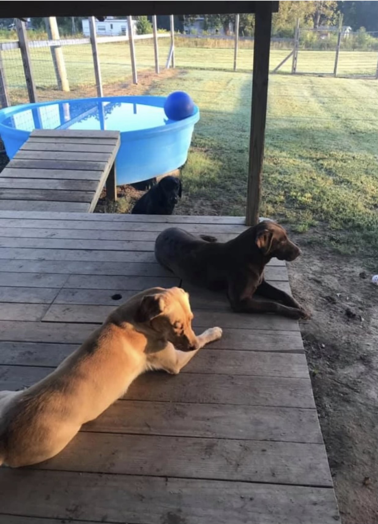 Ruffwood Labs Blountsville