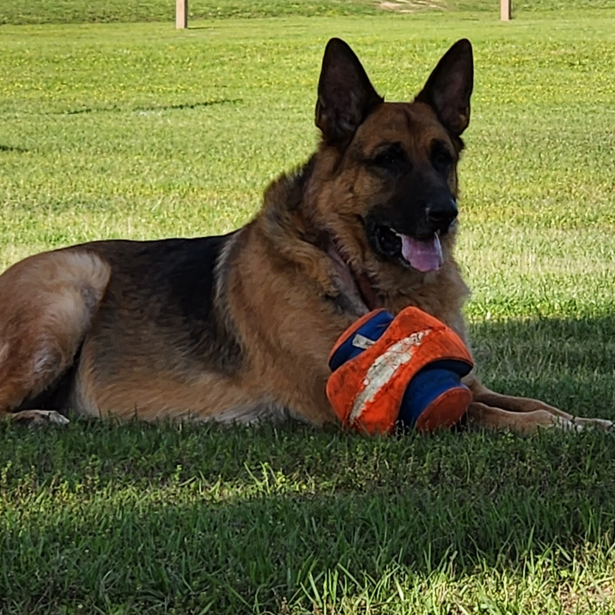 Brewton Animal Hospital Brewton