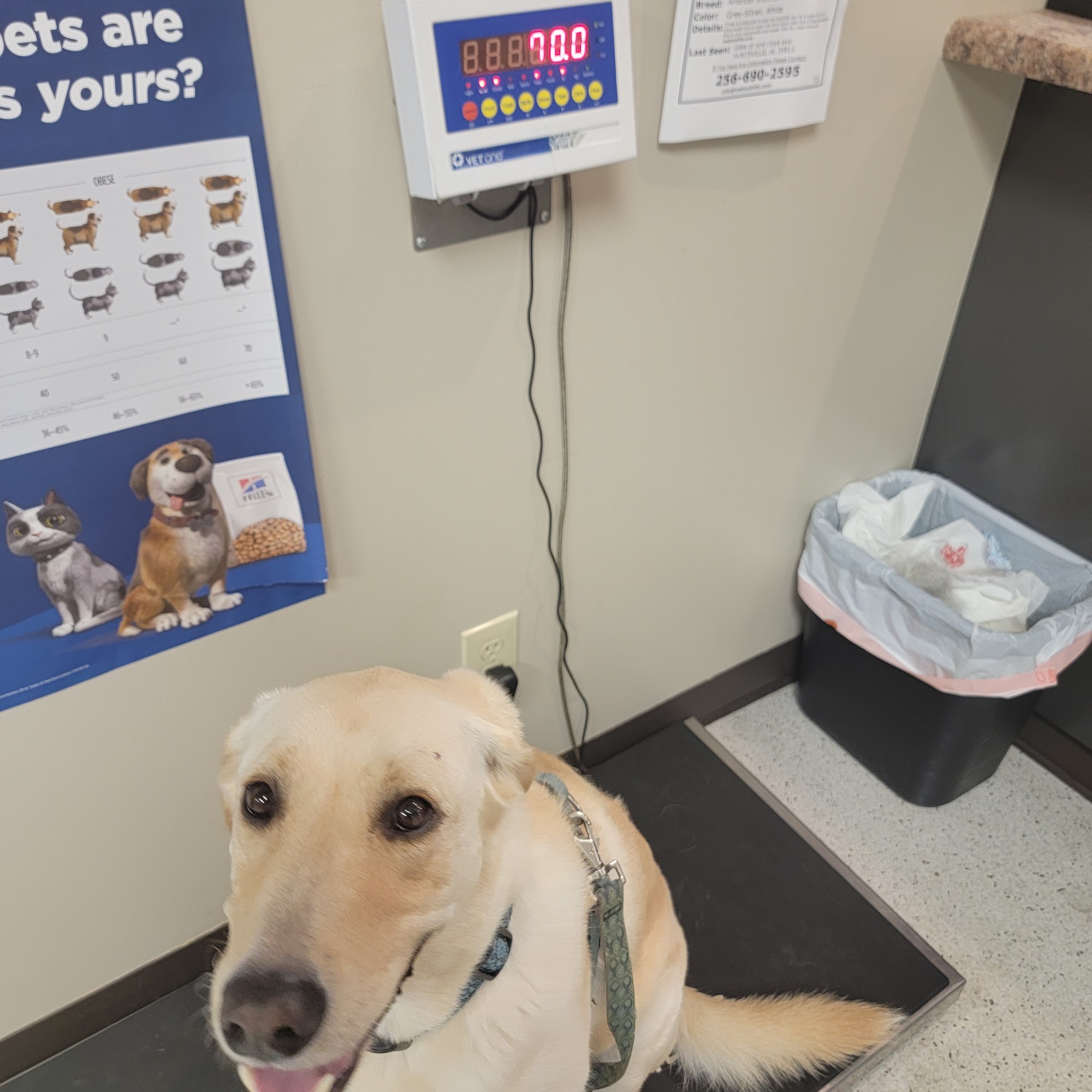 Linderman Animal Hospital Brownsboro