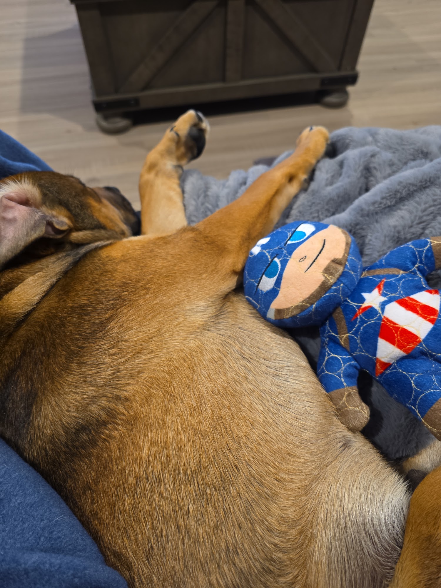 A New Leash On Life, Inc. Brownsboro