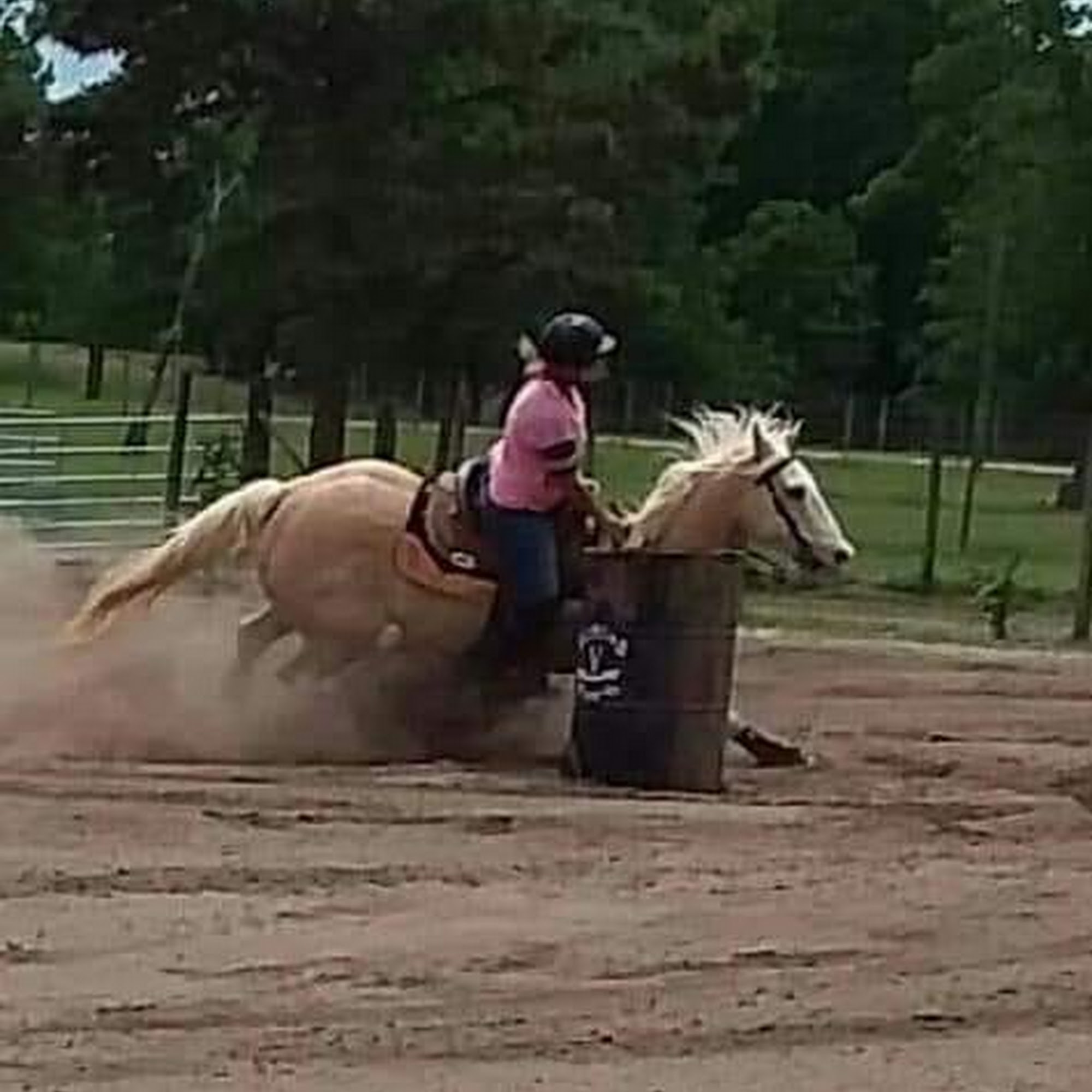 Easterwood Equine Hospital Calera