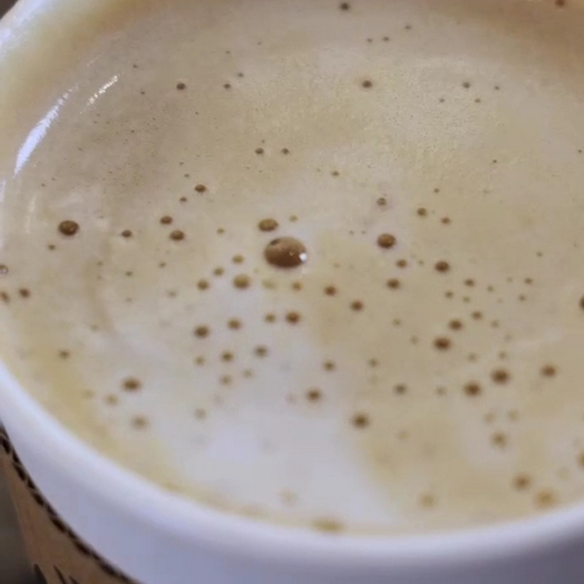 Adventurer's Coffee Co. Calera