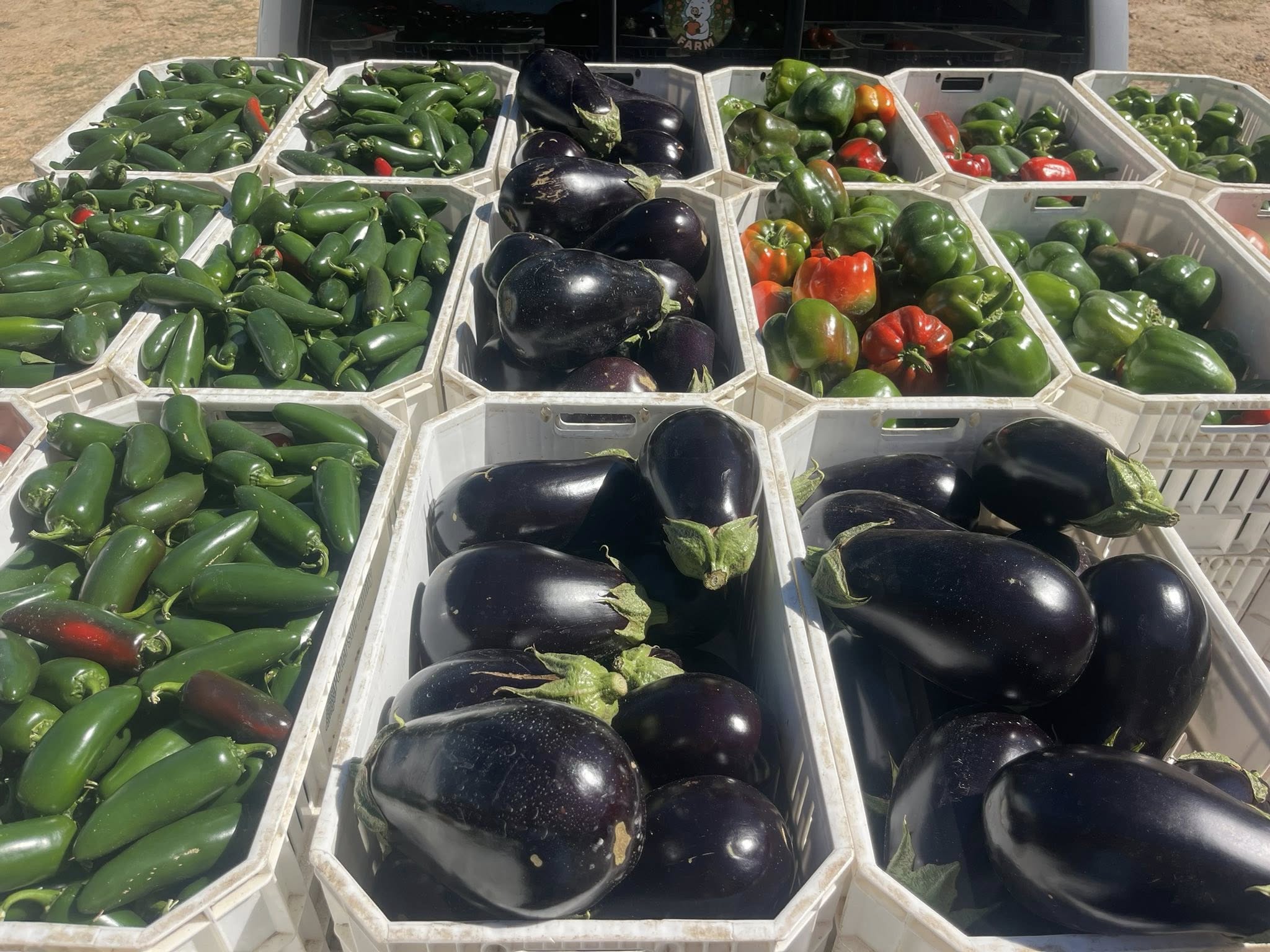 Knight Farms Clanton