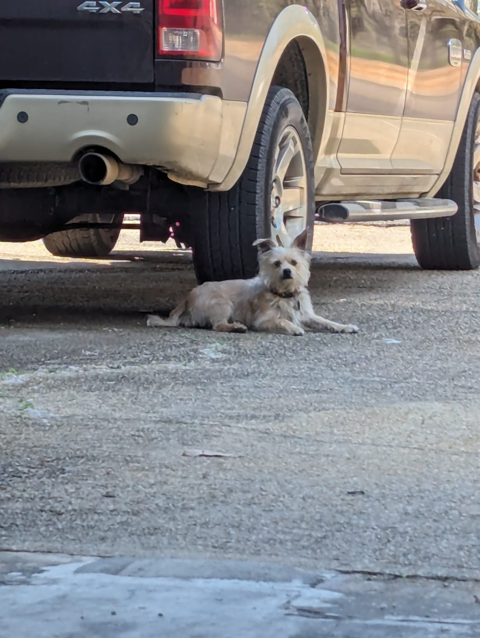 Carpet Country Clanton