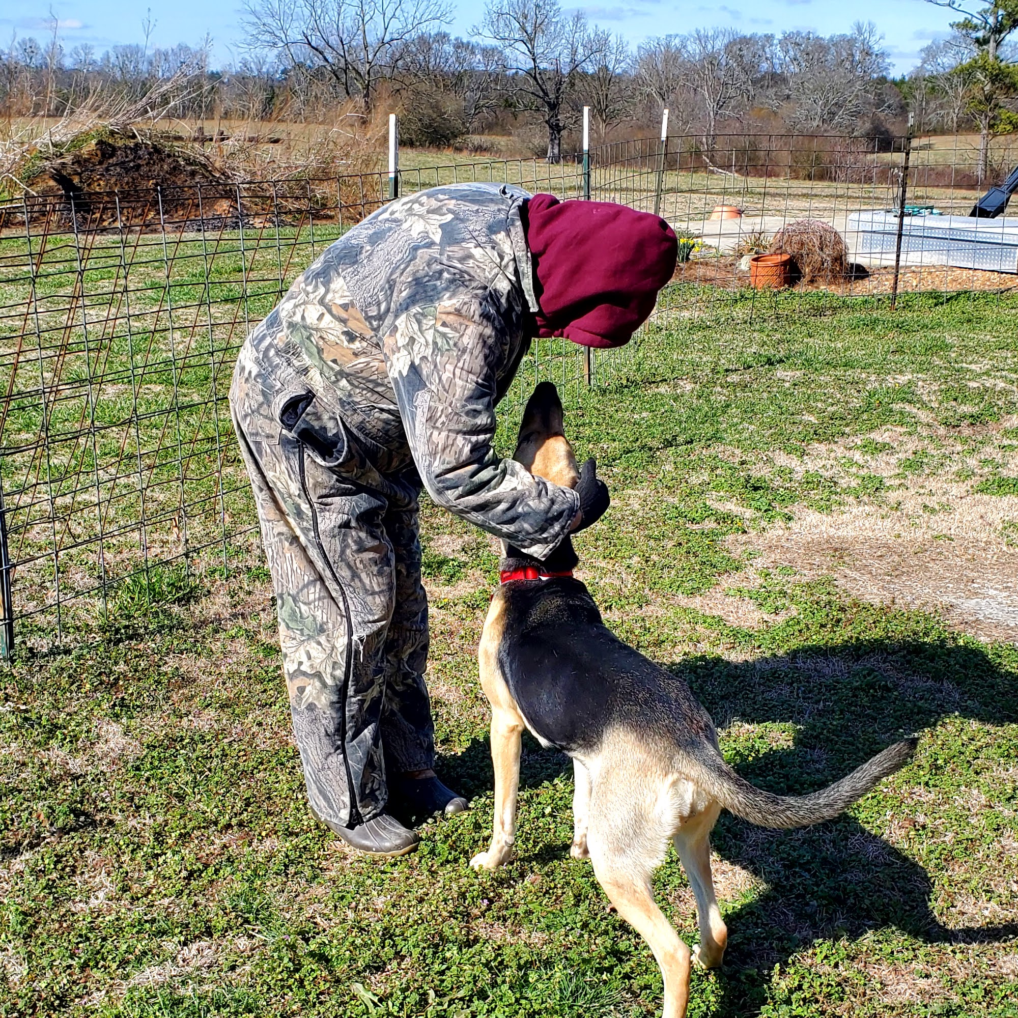 Blount Animal Clinic LLC Cleveland