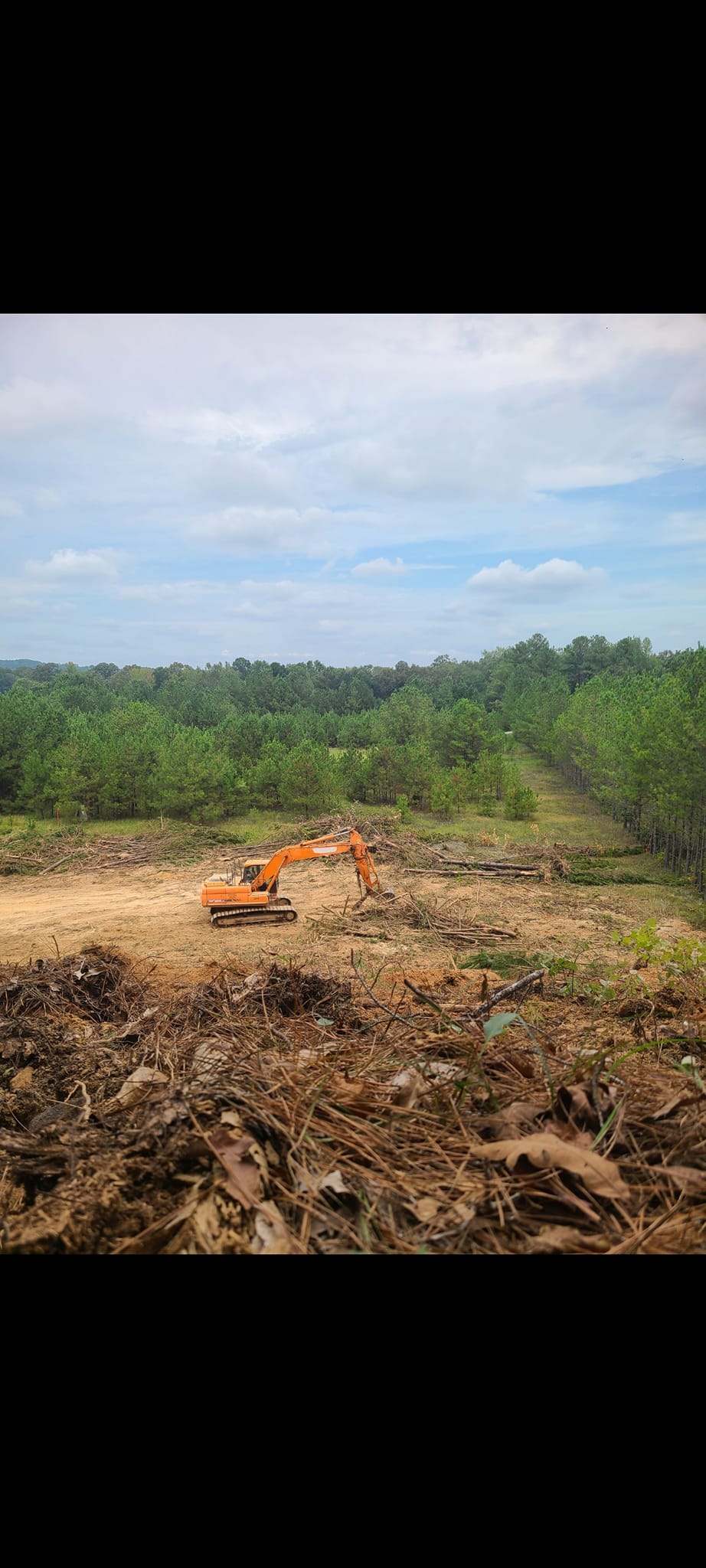 Cottondale Excavating