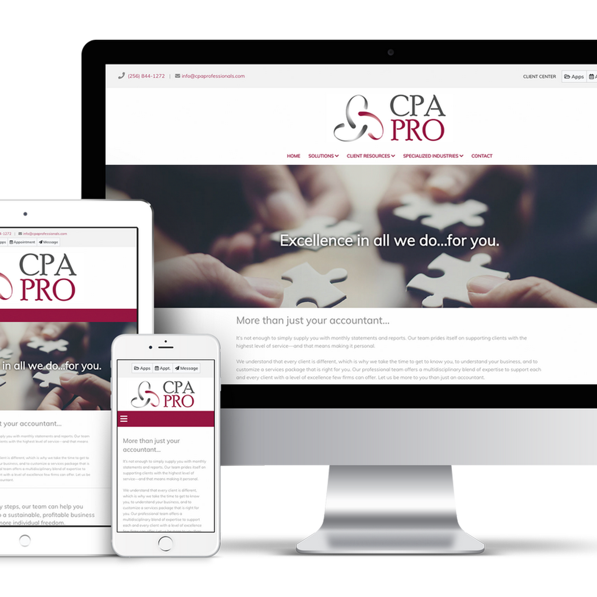CPA Professionals, Inc.