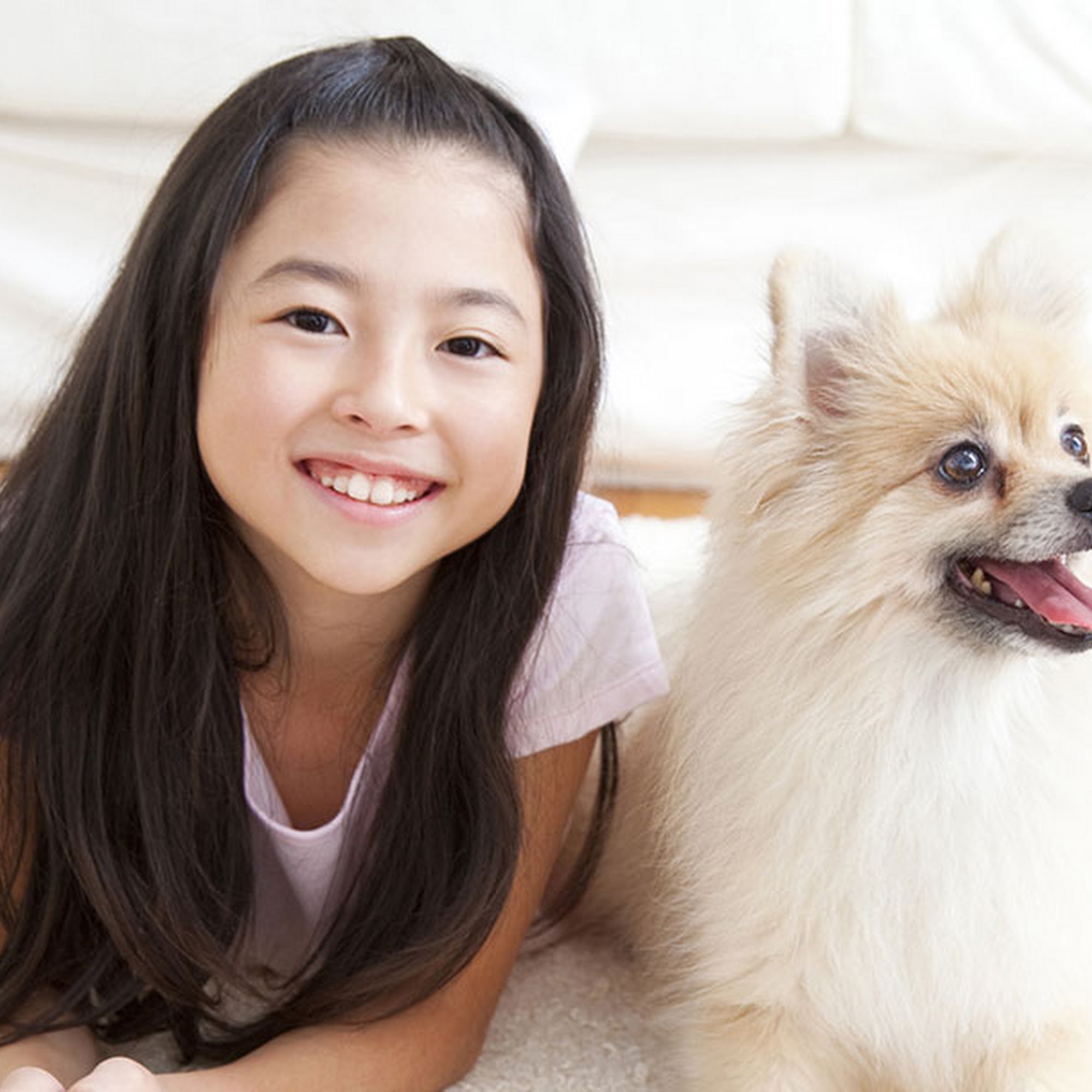 Shelbiana Animal Clinic Columbiana