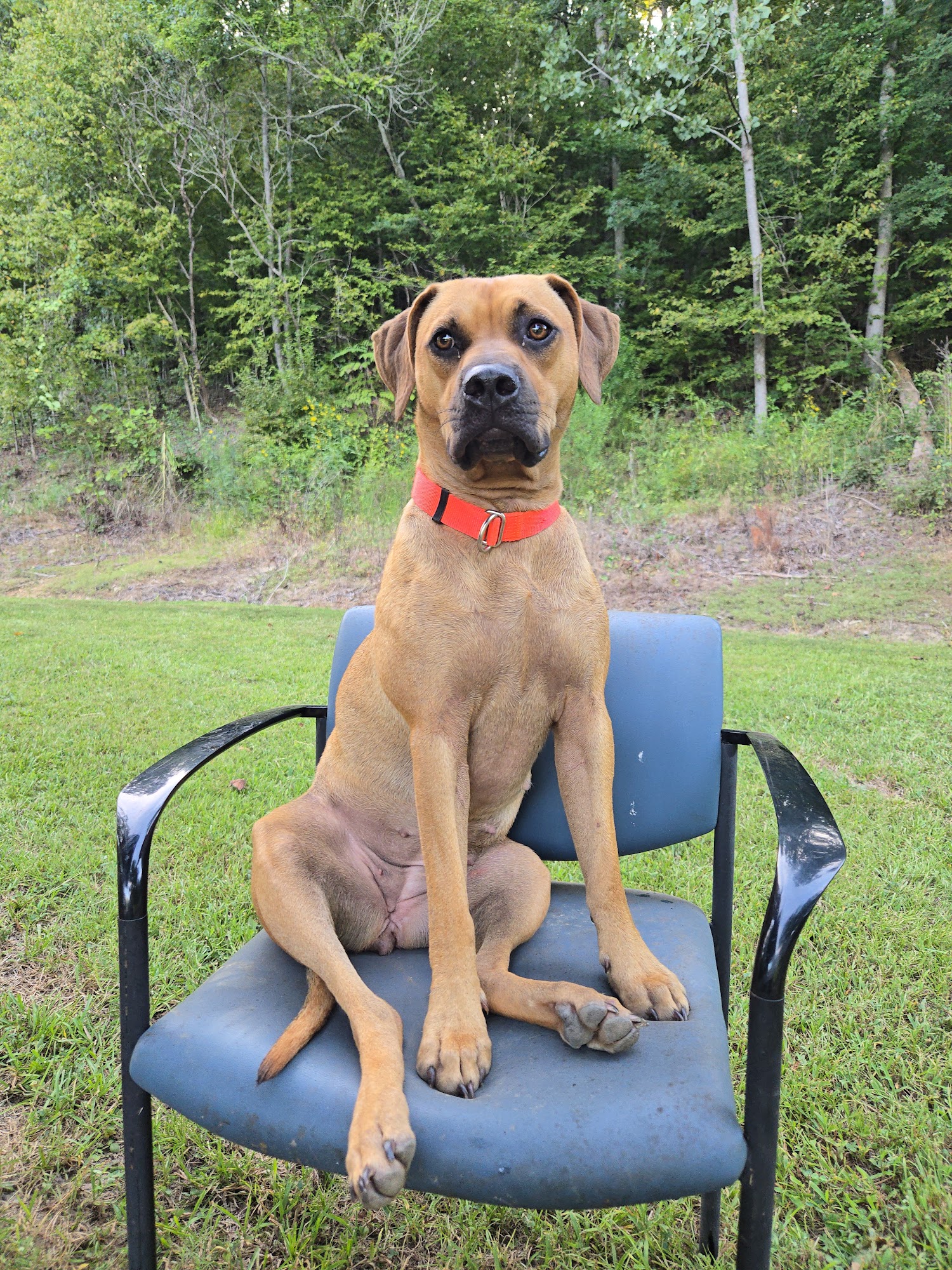 Smith Lake Kennels Crane Hill