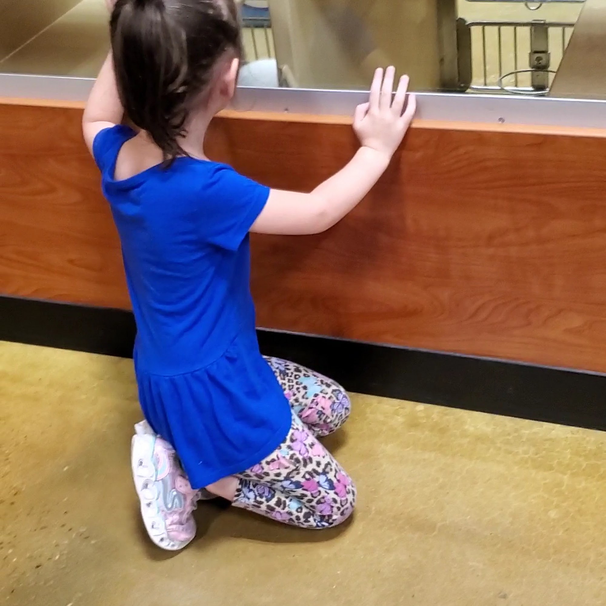 PetSmart Cullman