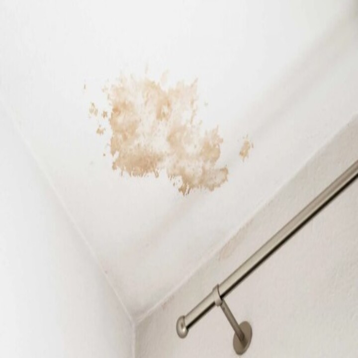 Priority Response and Restoration