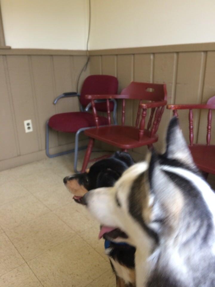 Bryan Animal Clinic Decatur