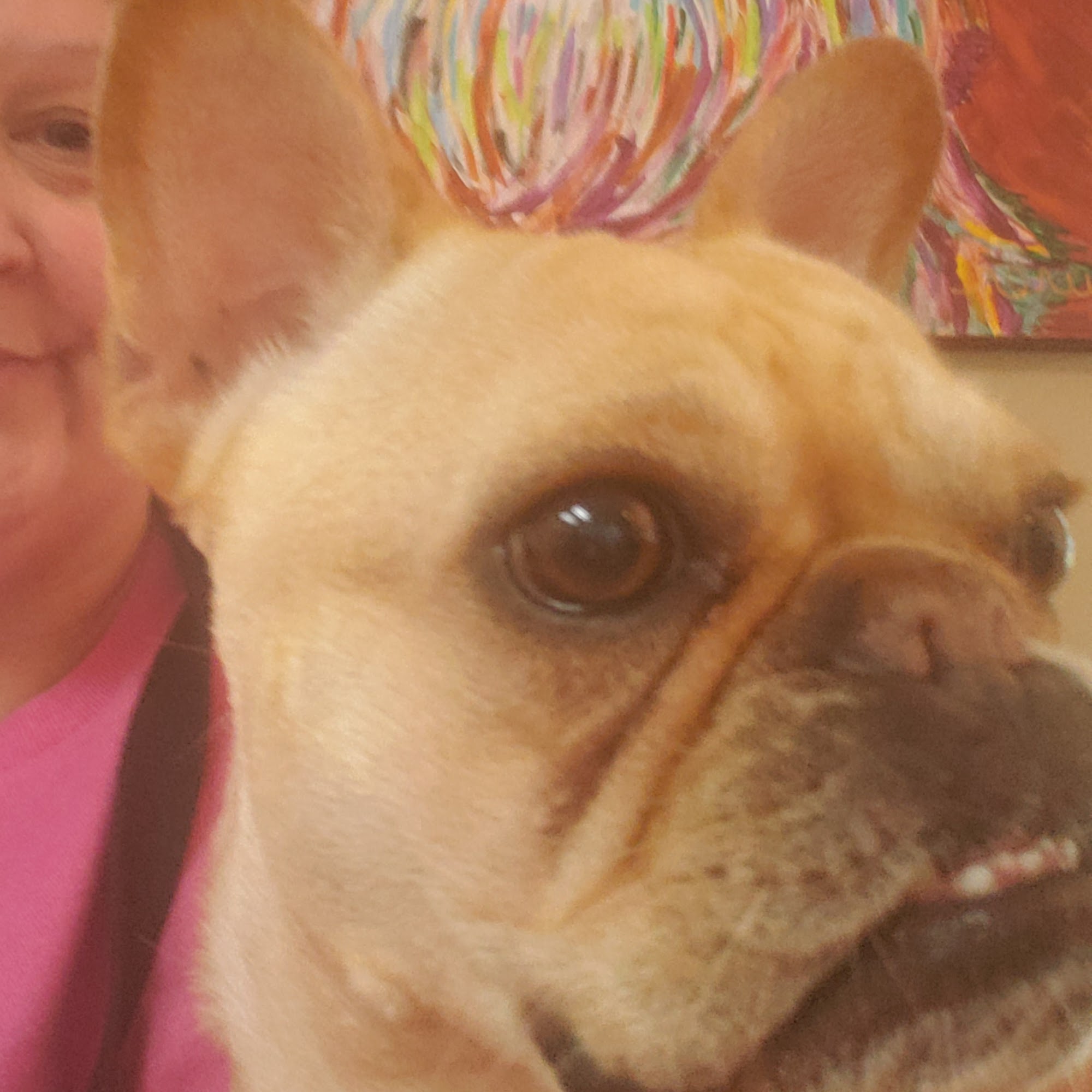 Dr. Kelly B. Griffith Decatur