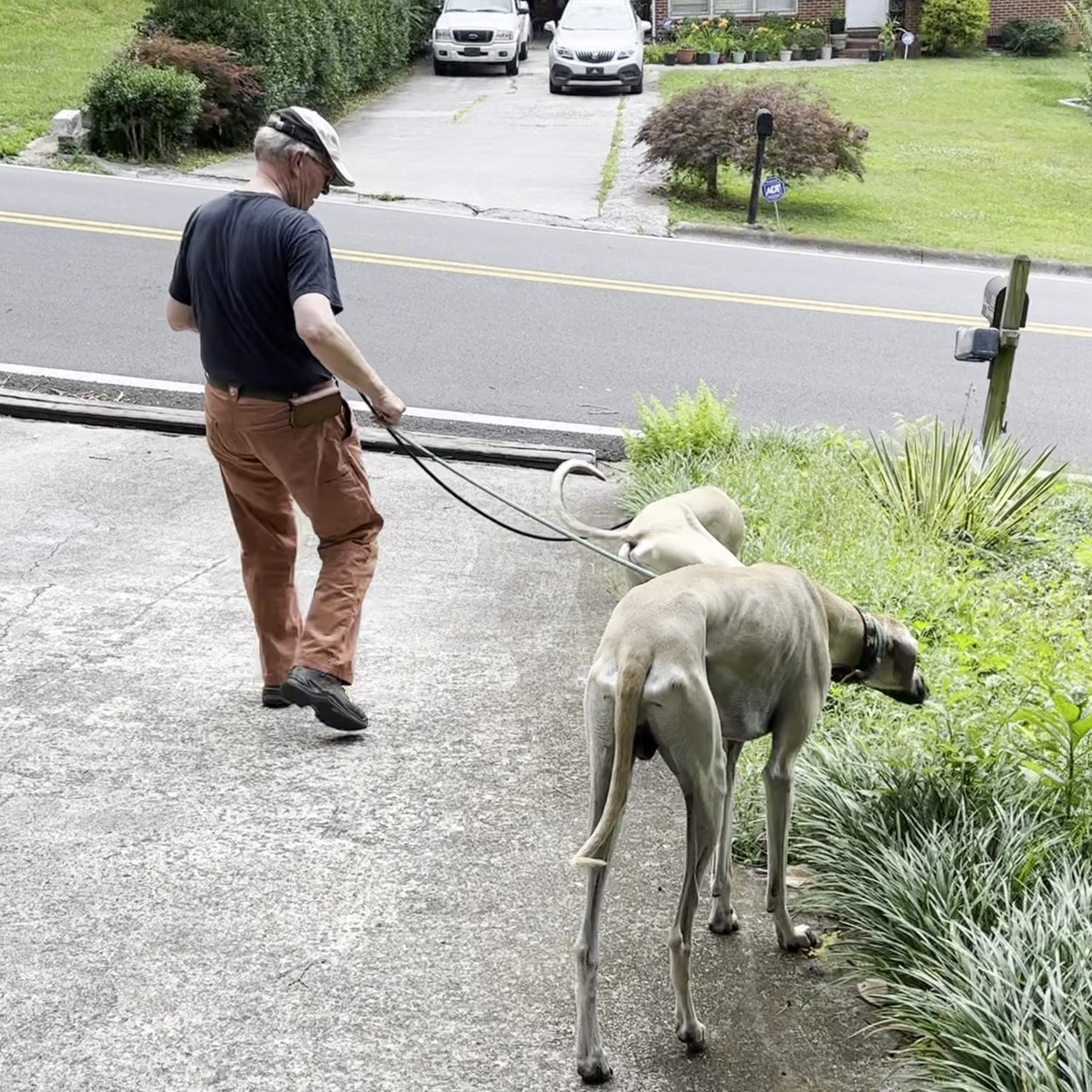 Family Pet Health Care Decatur