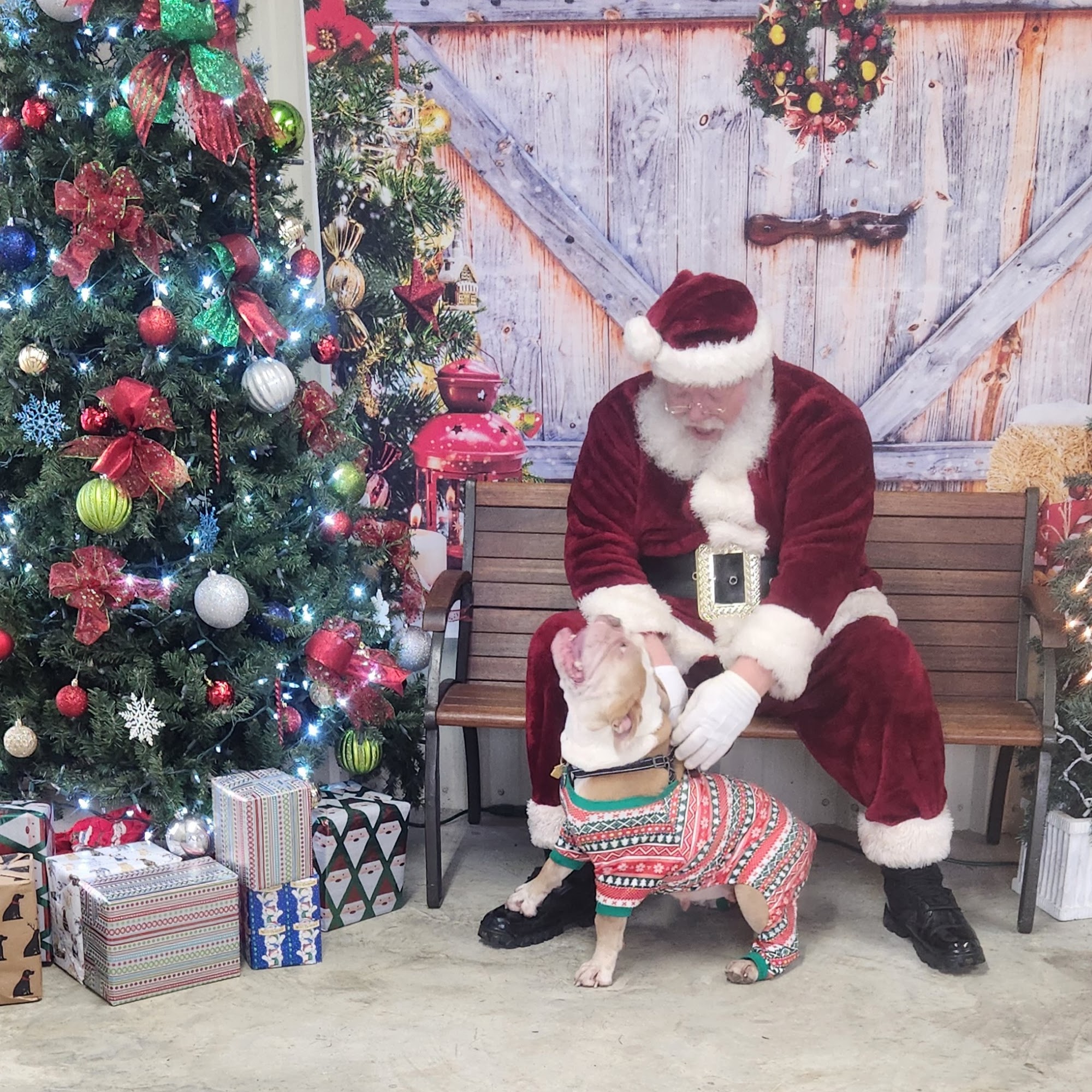 Briar Creek Veterinary Clinic Dothan