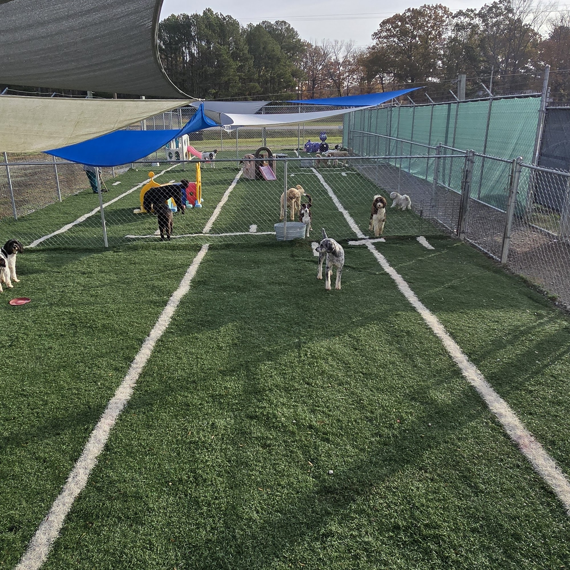 Pampered Paws 28581 AL-195, Double Springs Alabama 35553