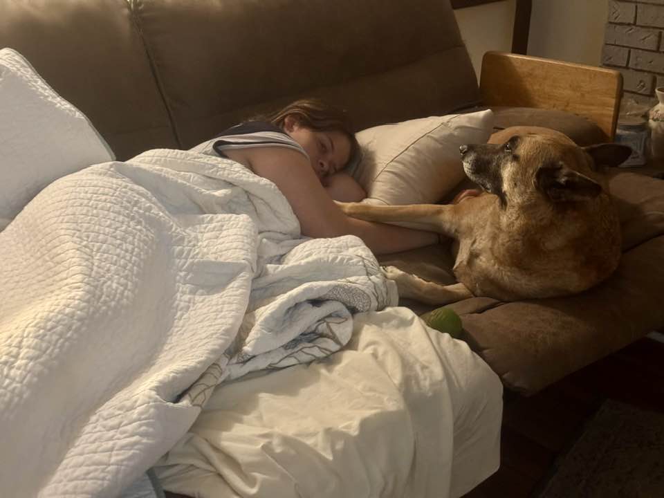 Mason's Mongrel's Dog Training & Kennel's Elberta