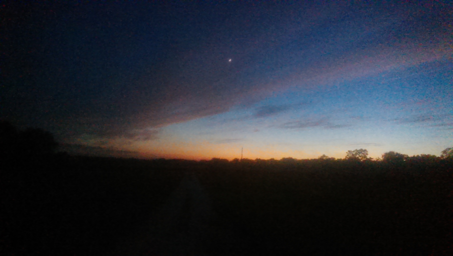 Lillian Pet Grooming 13750 Co Rd 91, Elberta Alabama 36530