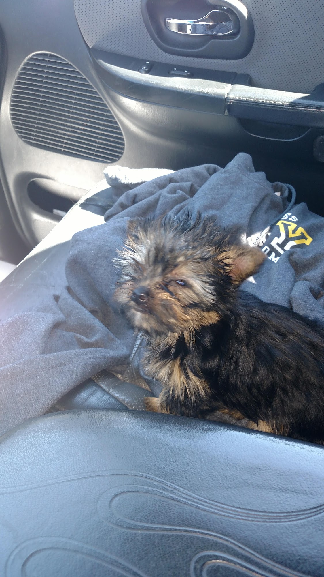 Animal Health Center Enterprise