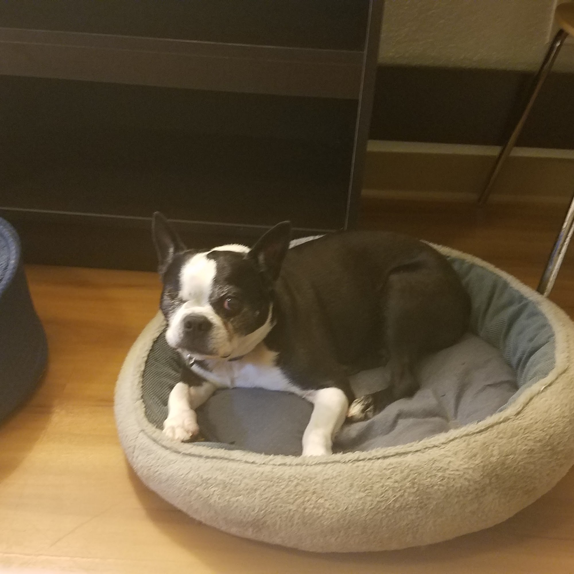 Animal Health Center: Donaldson M Bruce DVM Enterprise