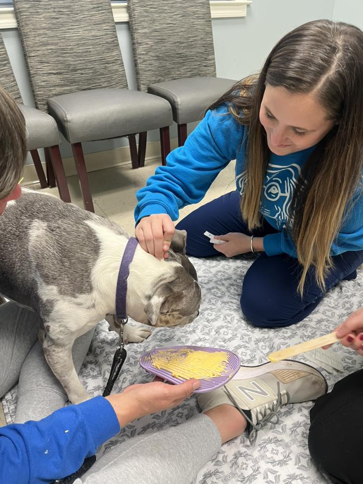 Magnolia Veterinary Services Enterprise