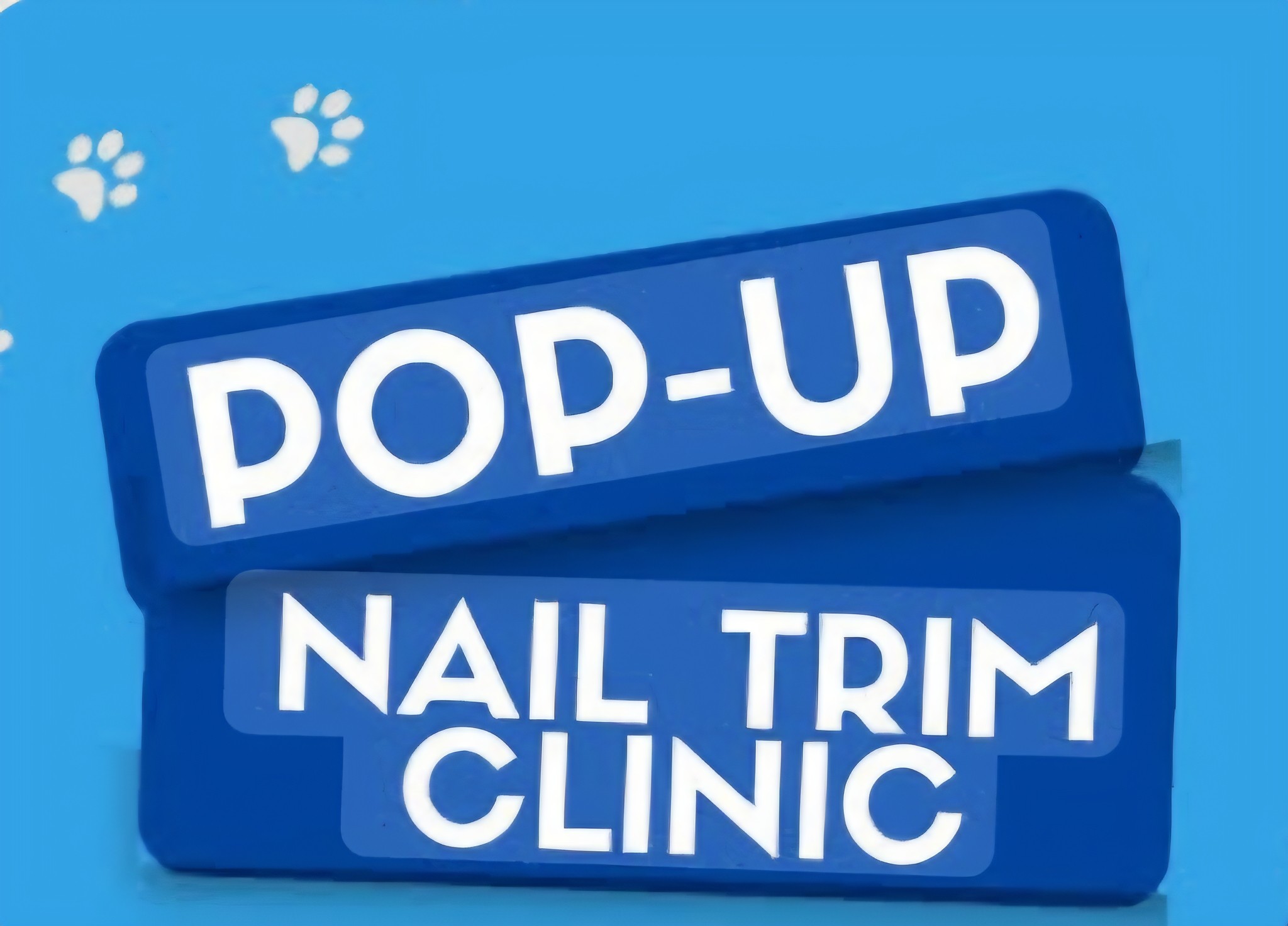 Chelle Bella's Enterprise